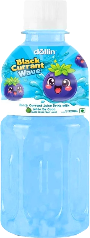 Dollin Fruit Drink with NDC 320ml Black Current