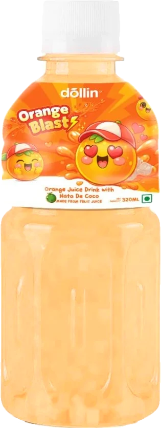 Dollin Fruit Drink with NDC 320ml Orange